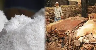 কোরবানির ঈদ সামনে রেখে ঝালকাঠিতে জমে উঠেছে লবণের বাজার